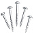Фото Шурупы с крупным шагом 2" - 250 шт в интернет-магазине ToolHaus.ru